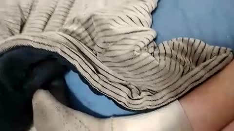 Snapshot of ausername1234517600 chatting on 10.14.25 Lex online show from 10.14.25