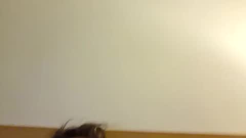 Snapshot of aussie_dadbod6969 chatting on 05.03.26 aussie_dadbod6969 online show from 05.03.26
