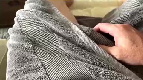 Aussie fatcock online show from 04.05.26