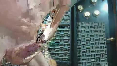 Snapshot of aussieraz chatting on 12.16.24 aussieraz online show from 12.16.24