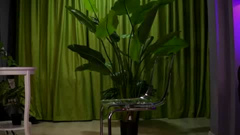 Ava online show from 08.02.26