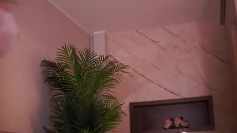 Ava online show from 02.06.26