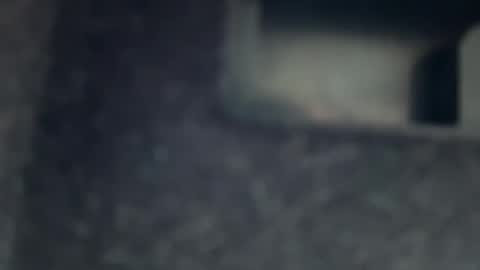 AYBOY online show from 11.17.25