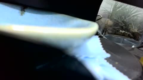 b1234567893 online show from 04.26.26