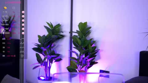 Snapshot of babbyaisha chatting on 12.16.25 Inna online show from 12.16.25