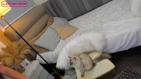 Snapshot of babygoddess4u chatting on 10.27.25 ASK ME IN PM online show from 10.27.25