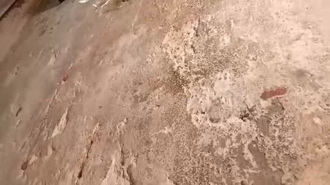 Megan online show from 10.02.25