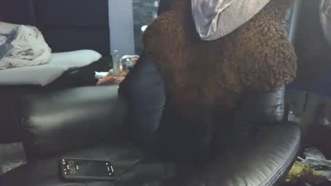 Badboy95 online show from 04.03.26