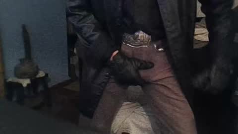 Mexican livin Off the Wall online show from 10.11.25