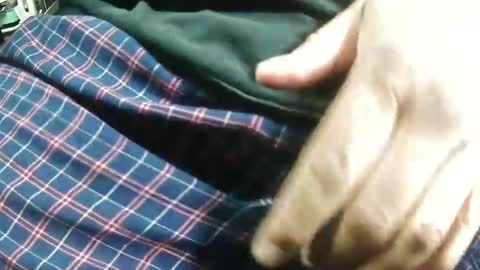 Bagofun online show from 01.25.25