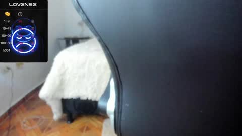 IM BAILEY online show from 02.17.25