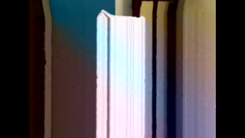 balajigoal online show from 03.14.26