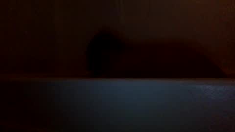 lets fuck my cock online show from 12.05.24