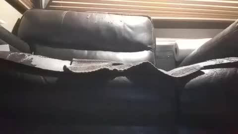 Snapshot of baobabtree10 chatting on 10.28.25 baobabtree10 online show from 10.28.25