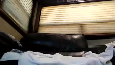 baobabtree8 online show from 02.26.25