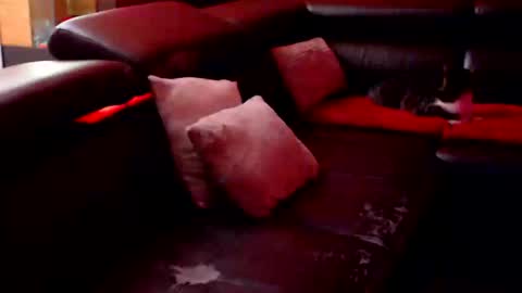 BARBARA online show from 09.12.25