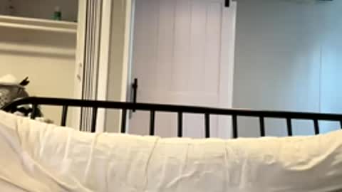 Tsbaby301 online show from 03.02.26