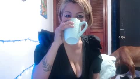 Snapshot of barbiemature chatting on 05.28.26 barbiemature online show from 05.28.26