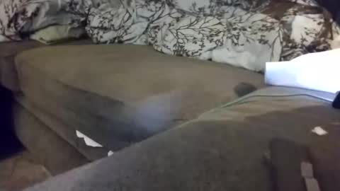 Snapshot of barrett4200 chatting on 01.20.25 barrett4200 online show from 01.20.25