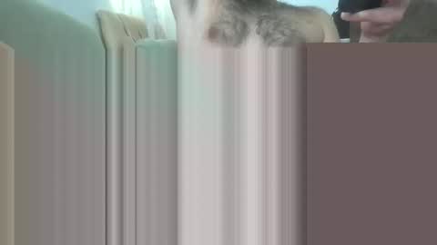 Snapshot of bathoneacock chatting on 03.02.25 bathoneacock online show from 03.02.25