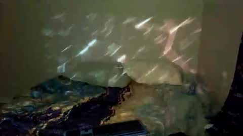 bathtimeboii online show from 01.11.26