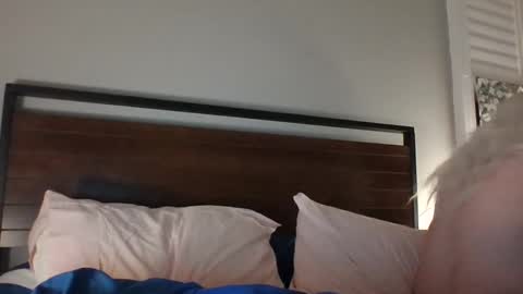 Snapshot of bawblejam chatting on 12.14.24 BjBambi online show from 12.14.24