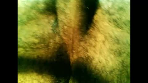 Snapshot of bayfall chatting on 12.14.24 bayfall online show from 12.14.24