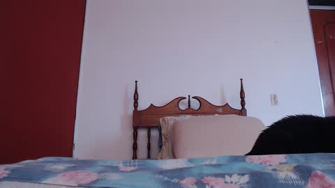 Snapshot of bayonette_black chatting on 09.27.25 bayonette_black online show from 09.27.25