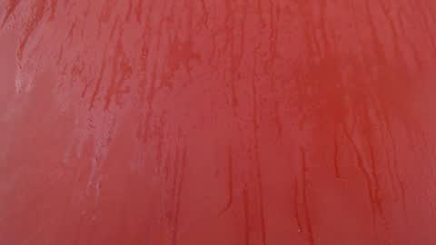 bayonette_black online show from 11.30.25