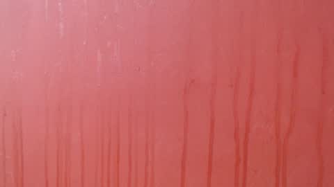 bayonette_black online show from 12.03.25