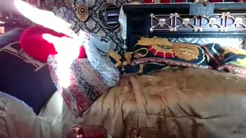 Bazza online show from 11.01.25