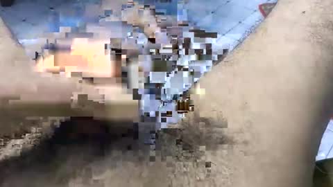 Snapshot of bd_sam_69 chatting on 11.02.25 bd_sam_69 online show from 11.02.25