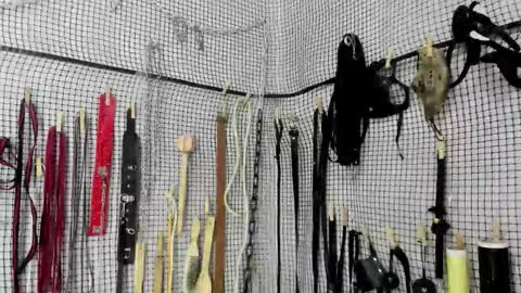 Meduza  online show from 02.20.26