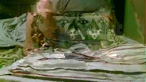 Snapshot of beagle1 chatting on 11.01.25 beagle1 online show from 11.01.25