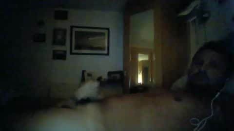 bearboudior online show from 01.11.25