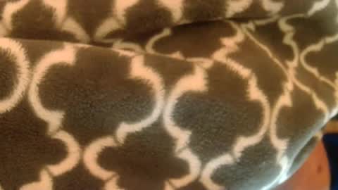 bearplay1111 online show from 02.27.25