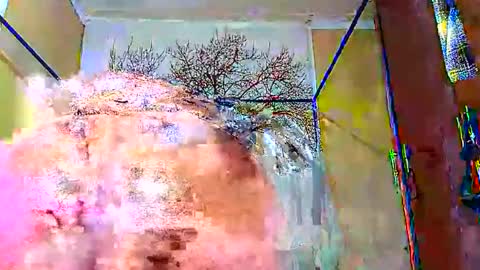 beencee2 online show from 01.12.25