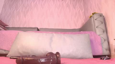 Snapshot of begoniia_ chatting on 01.11.25 Begonia online show from 01.11.25