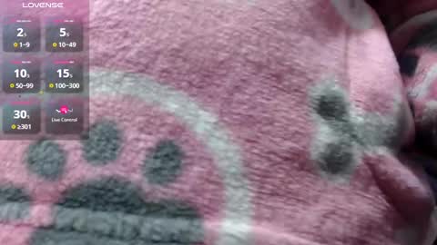 bekkasquirt online show from 01.01.25