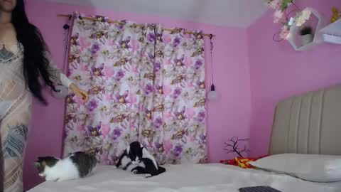 Snapshot of bella_gentle chatting on 12.20.24 bella_gentle online show from 12.20.24
