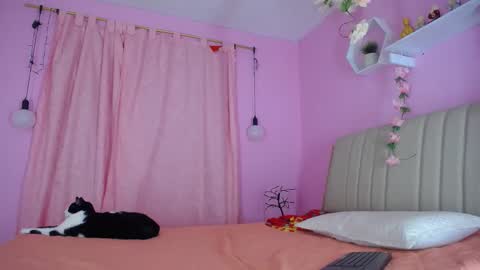 Snapshot of bella_gentle chatting on 12.31.24 bella_gentle online show from 12.31.24
