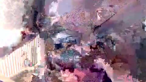      online show from 12.05.24