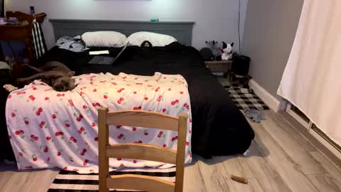 Roxy Rain online show from 03.01.25