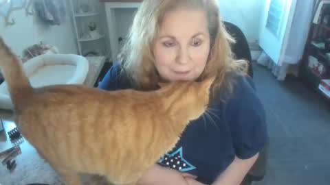 Bellavoca online show from 04.11.26