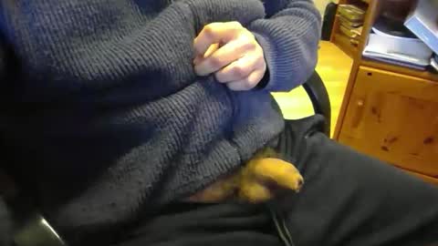 jaimetout online show from 04.21.26