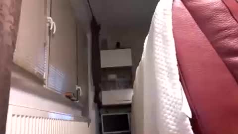 Benutzmich0800 online show from 02.14.26