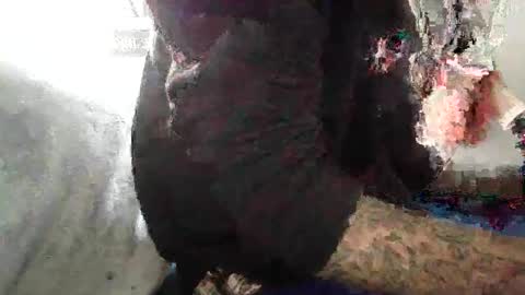 ToxicPipe757 online show from 11.04.25