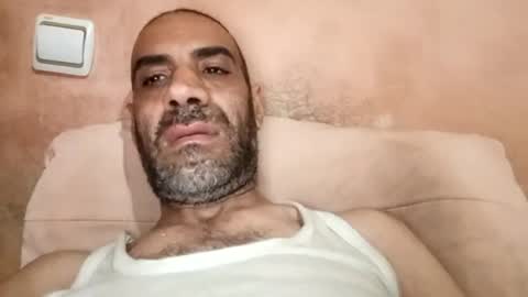 Cock arabic Authentic online show from 06.15.26