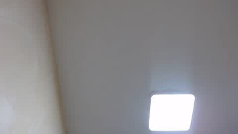 Snapshot of bevora13 chatting on 01.03.25 Nixie online show from 01.03.25