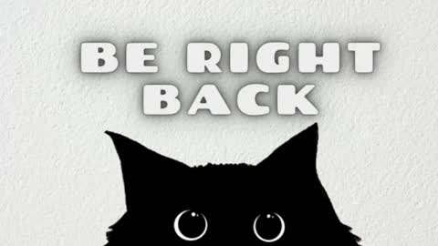 Snapshot of bibiana_js_ chatting on 02.15.26 bibiana_js_ online show from 02.15.26